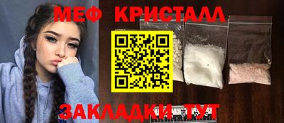 шишки Дубна