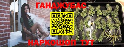 шишки Дубна