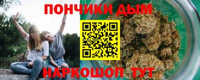шишки Дубна