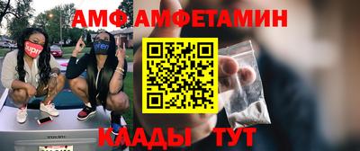 шишки Дубна
