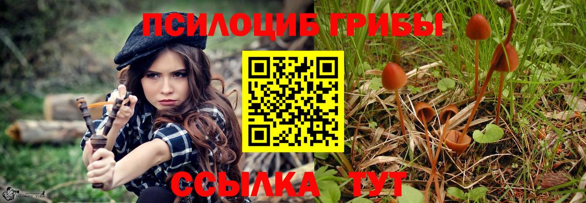 Галлюциногенные грибы GOLDEN TEACHER Михайловск