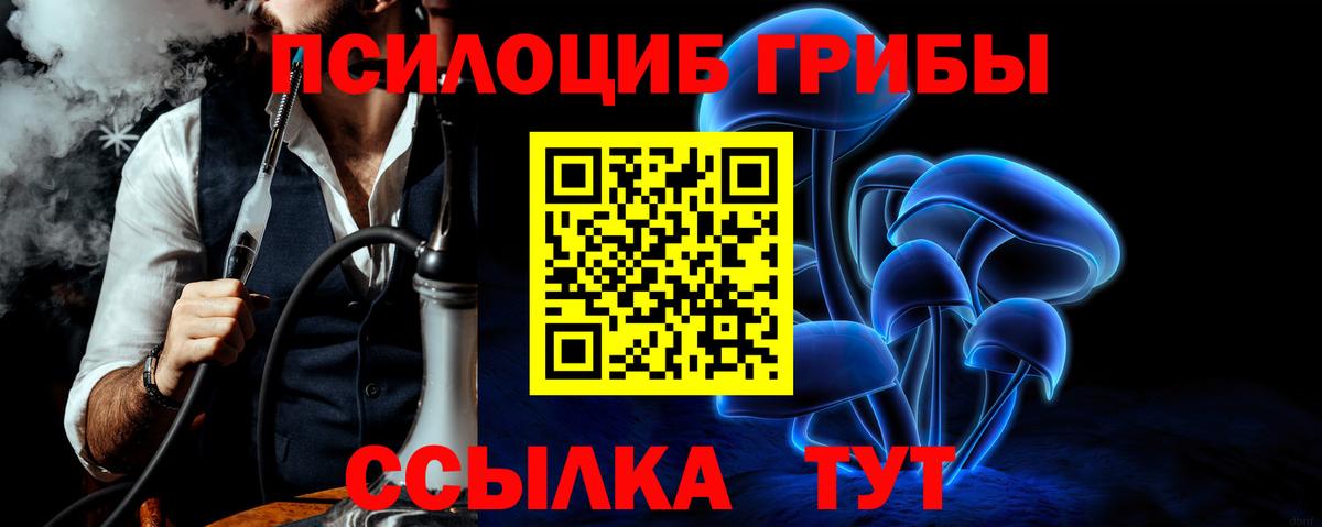 Михайловск  Псилоцибиновые грибы Cubensis  Галлюциногенные грибы мицелий  Вход с VPN 